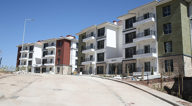 A D I Y A M A N T O K İ K U R A Ç E K İ M İ C A N L I İ Z L E 1