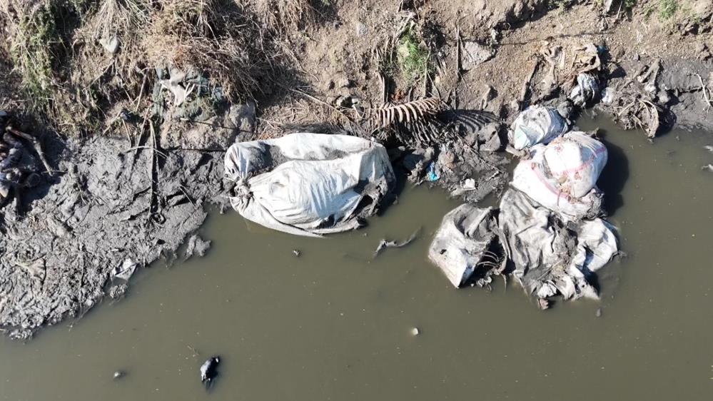 Adana At Eşşek Kemkleri1