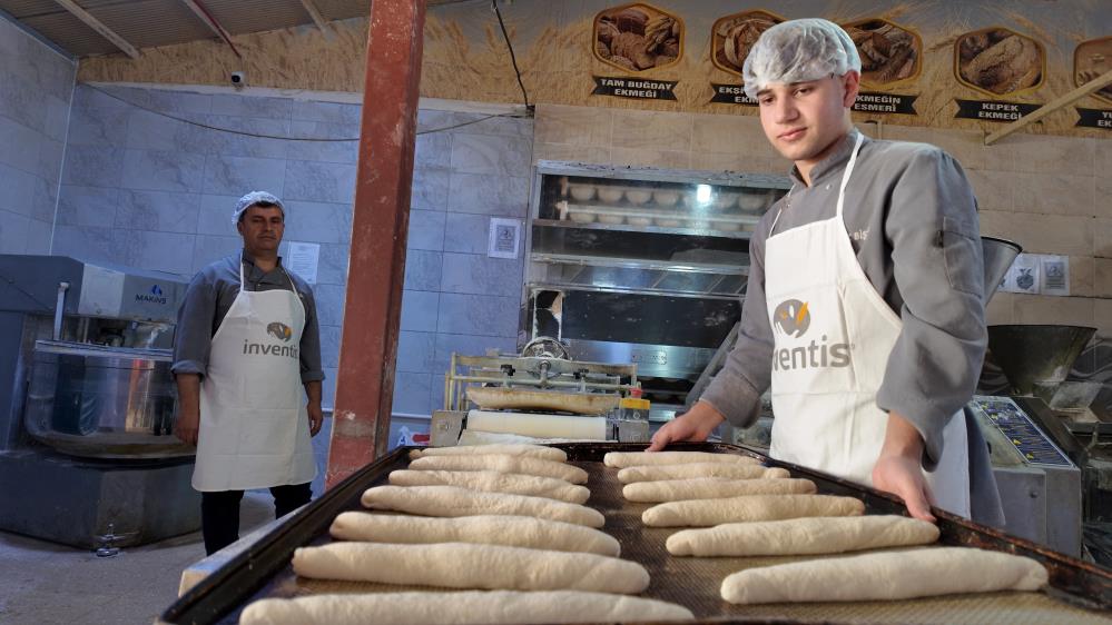 Fabrika Gibi Çalışan Lisee