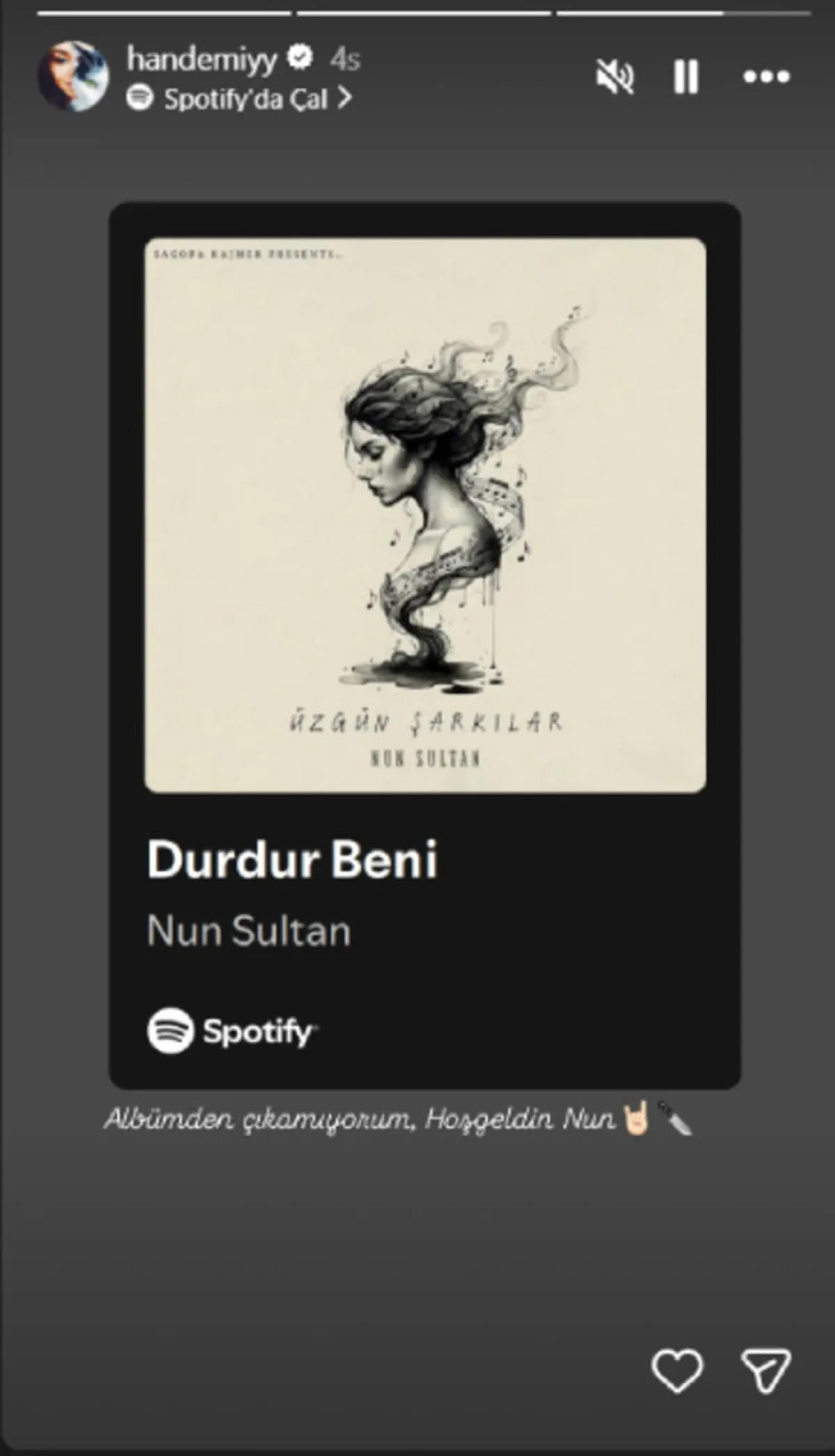 Hande Erçel’den Hakan Sabancı'ya Gönderme