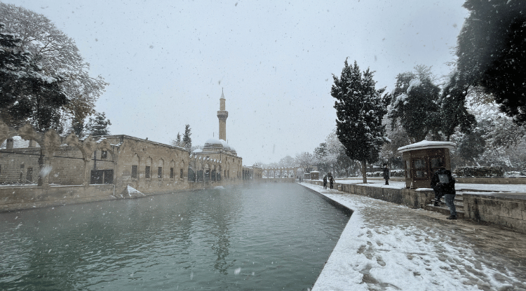 Şanlıurfa'daki Tarihi Balıklıgöl Beyaza Büründü1