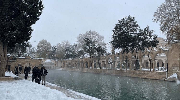 Şanlıurfa'daki Tarihi Balıklıgöl Beyaza Büründü2