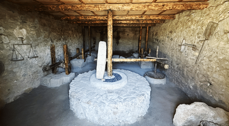 Syedra Antik Kenti'nin Zeytinyağı Üretim Merkezi Olduğu Tespit Edildi1