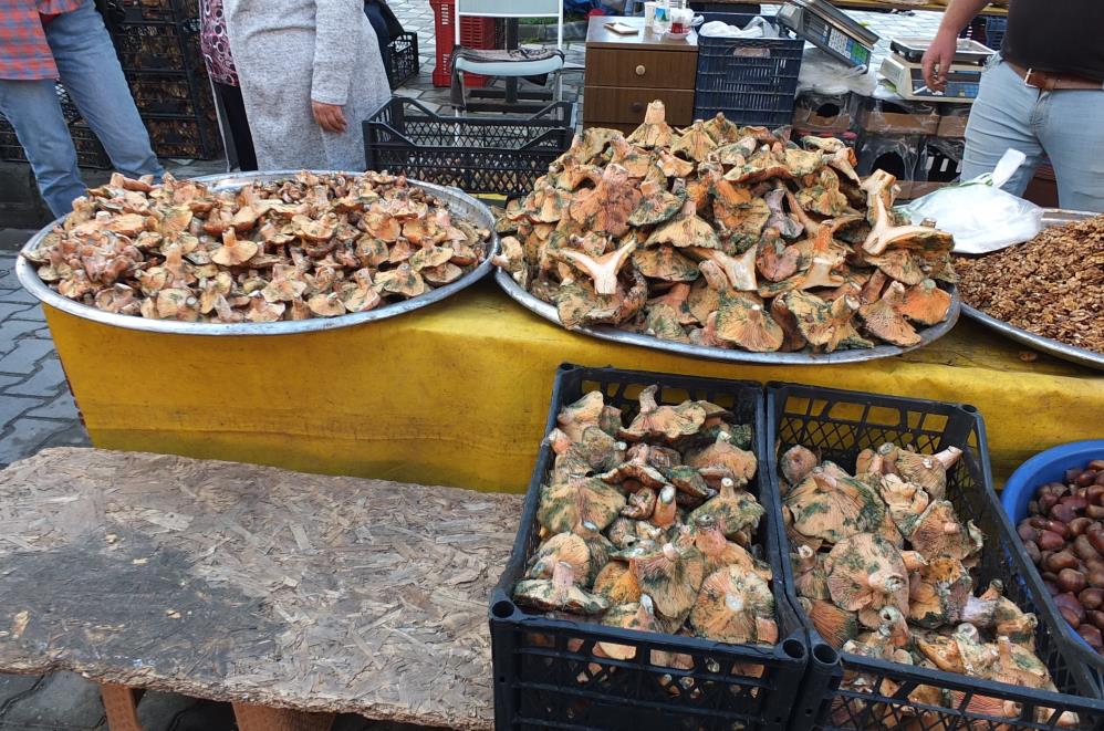 Yağmur Yağınca Adeta Fışkırdı! Kilosu 400 Tl’den 100 Tl’ye Düştü....-1