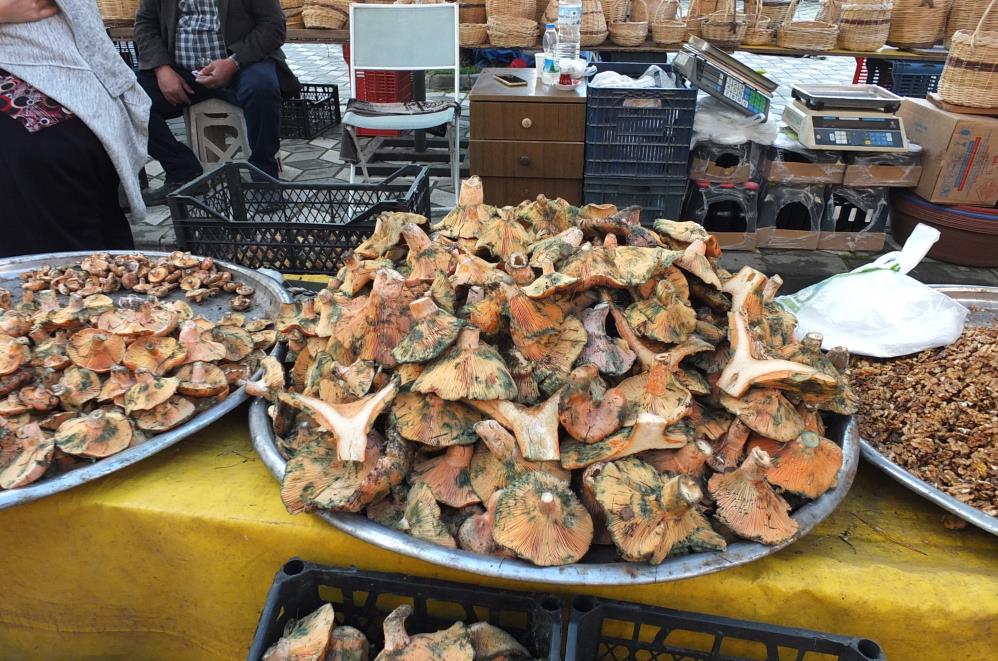 Yağmur Yağınca Adeta Fışkırdı! Kilosu 400 Tl’den 100 Tl’ye Düştü.....-2