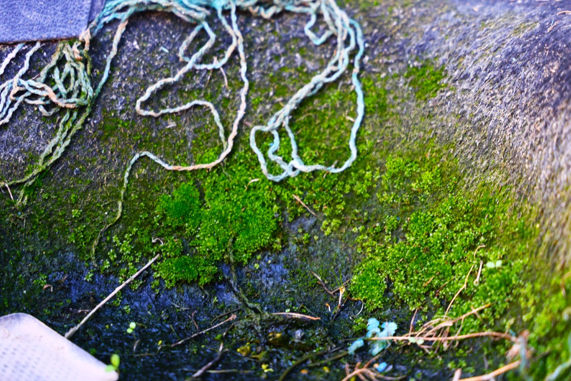 Yediemnin Otoparkı Araçlar (8)