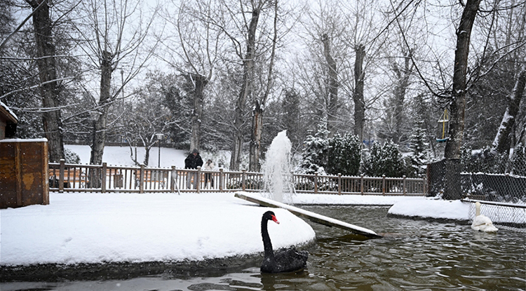 Ankara’da Yarın Okul Var Mı