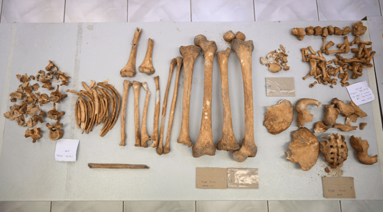 Çayönü Tepesi'nde Yaşayan Insanların Genetik Haritası Çıkarılıyor1