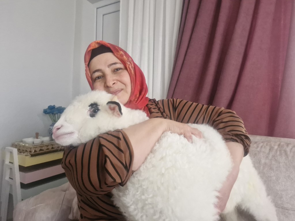 Kuzuya Bebek Gibi Bakıyor (4)