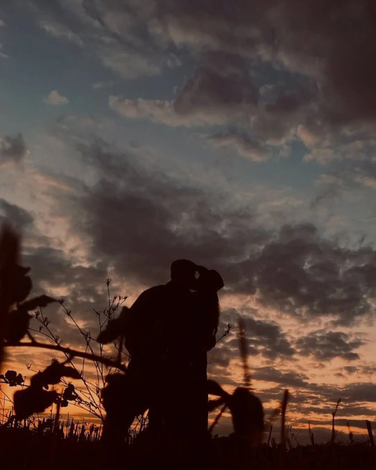 Aslıhan Malbora Ile Çağatay Ulusoy Dudak Dudağa