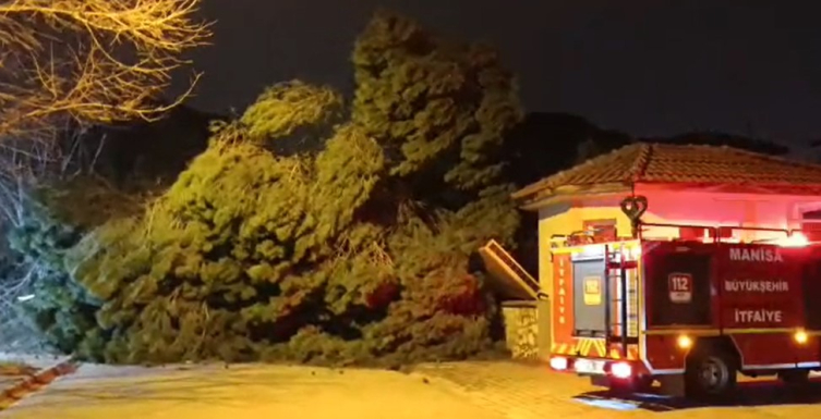 Manisa'da Minarenin Külahı Devrildi, Çatılar Uçtu, Ağaçlar Devrildi2