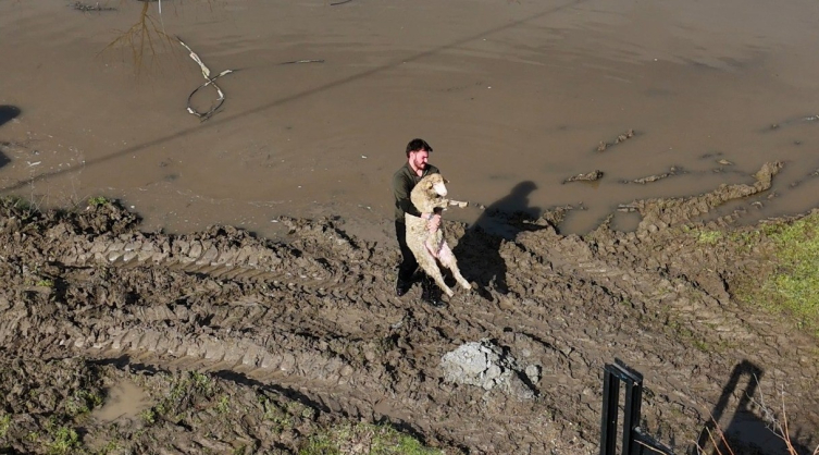 Meriç Nehri Taştı2