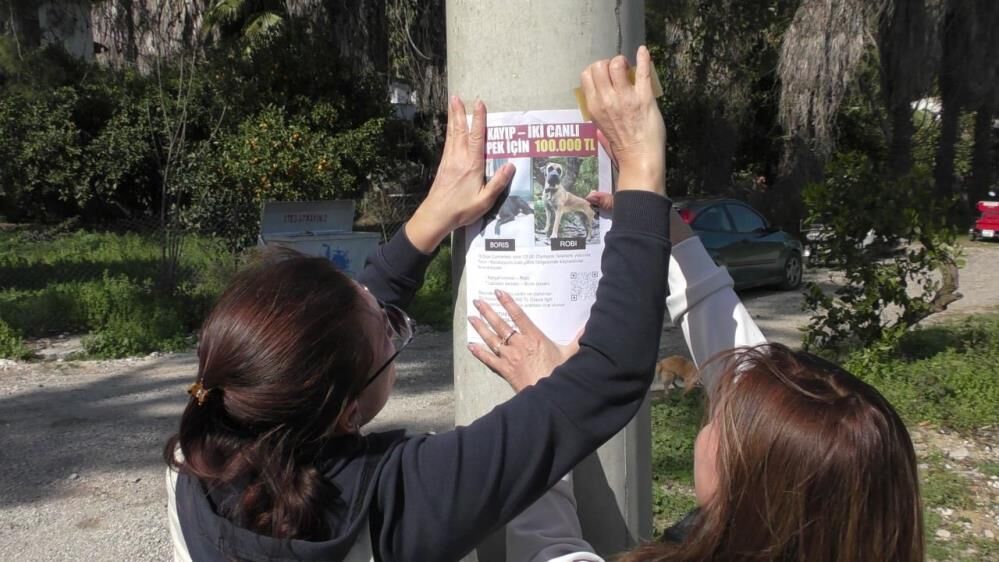 Sokak Sokak Arıyor2