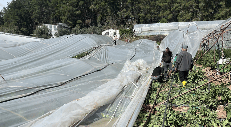 Antalya'da Hortum Seralara Zarar Verdi1