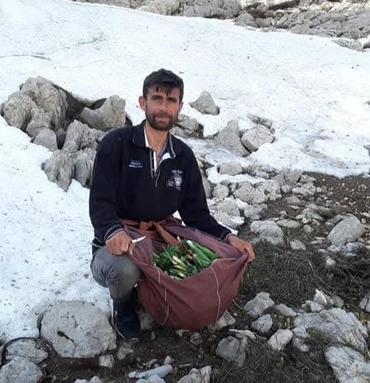 Dağlardan Topluyorlar1