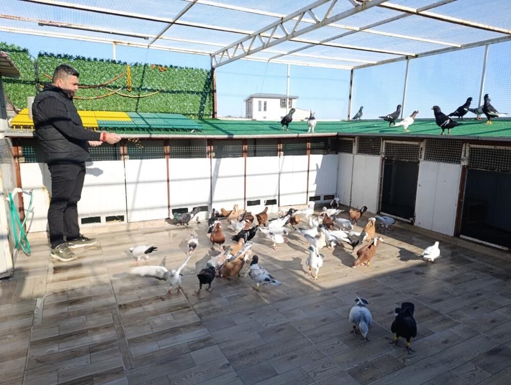 Memurluğu Bırakıp Bu Işe Girdi! Tanesini 1 Milyon Liraya Satıyor1