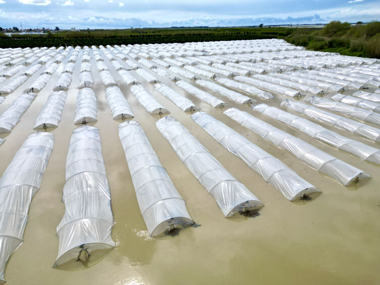Mersin'de Sağanak Tarım Arazileri Su Altında Kaldı1