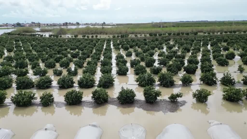 Mersin'de Sağanak Tarım Arazileri Su Altında Kaldı2