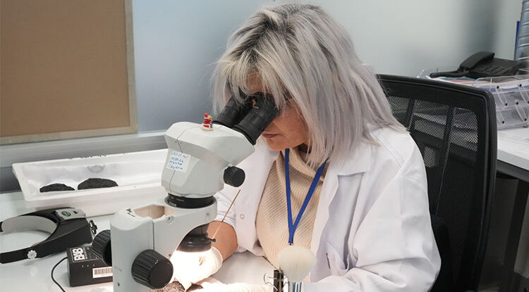 Tarihi Eserler Kimyasal Işaretleme Ile Güvence Altında 2