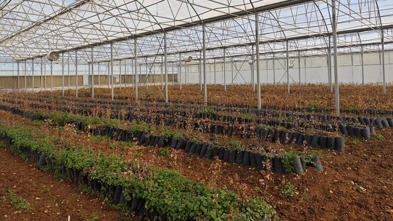 Anadolunun Yöresel Lezzetleri Dijital Platformu 2