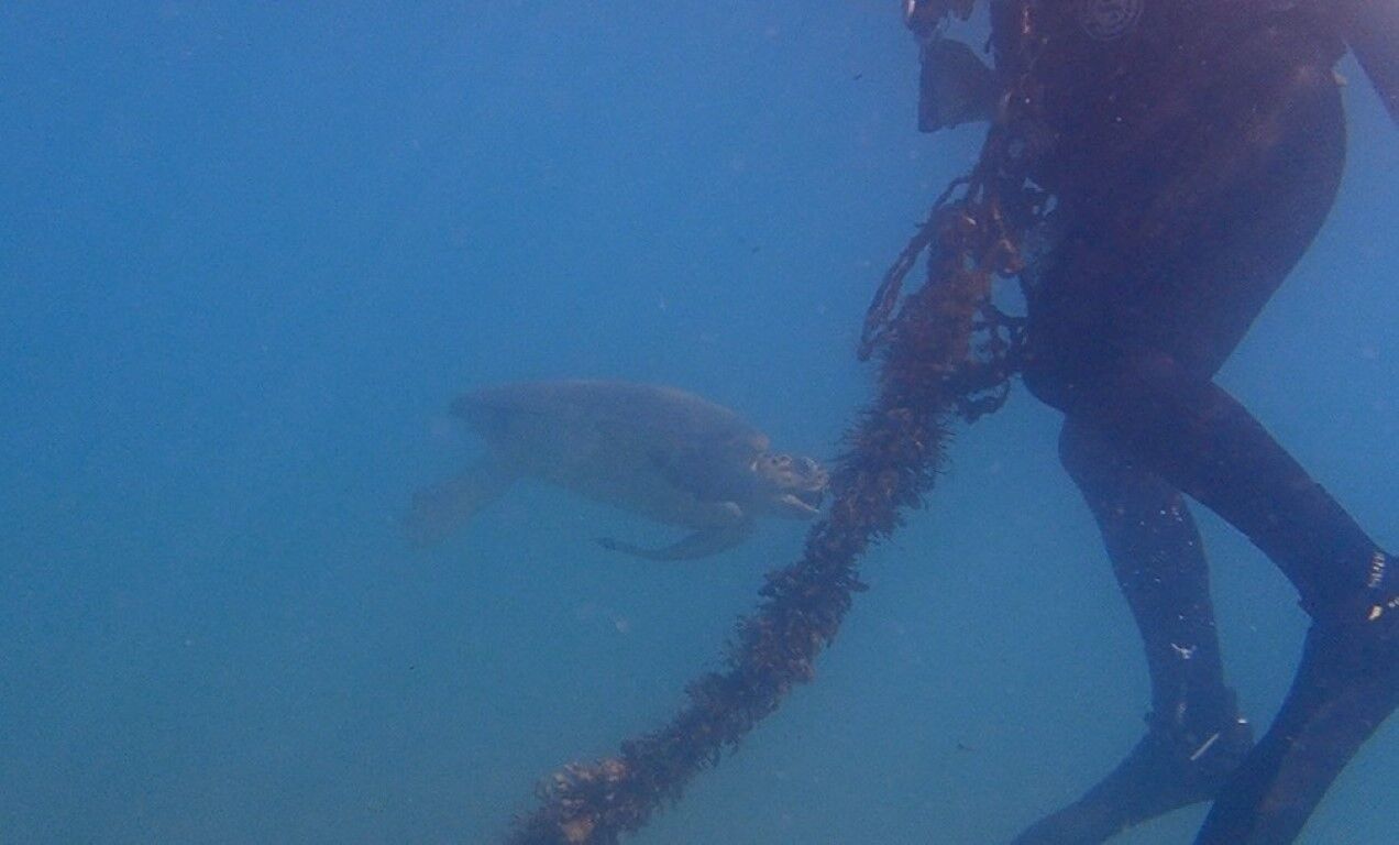 Can Kurtarmak Için Saniyelerle Yarışıyorlar.. (10)