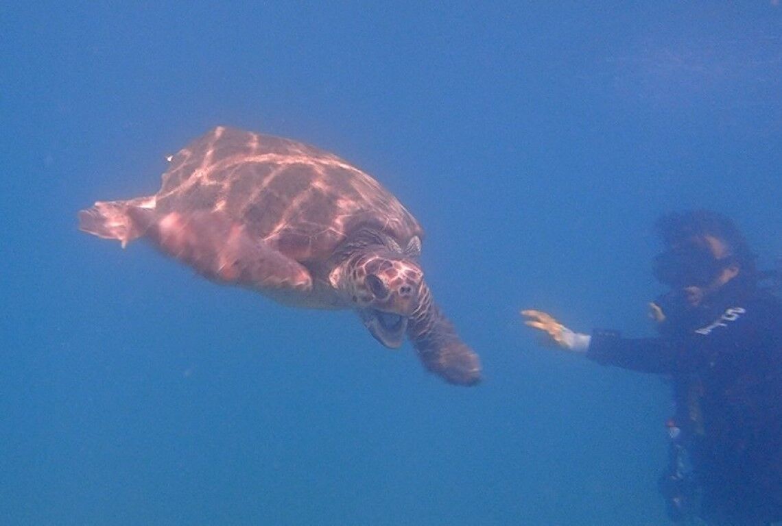 Can Kurtarmak Için Saniyelerle Yarışıyorlar.. (17)