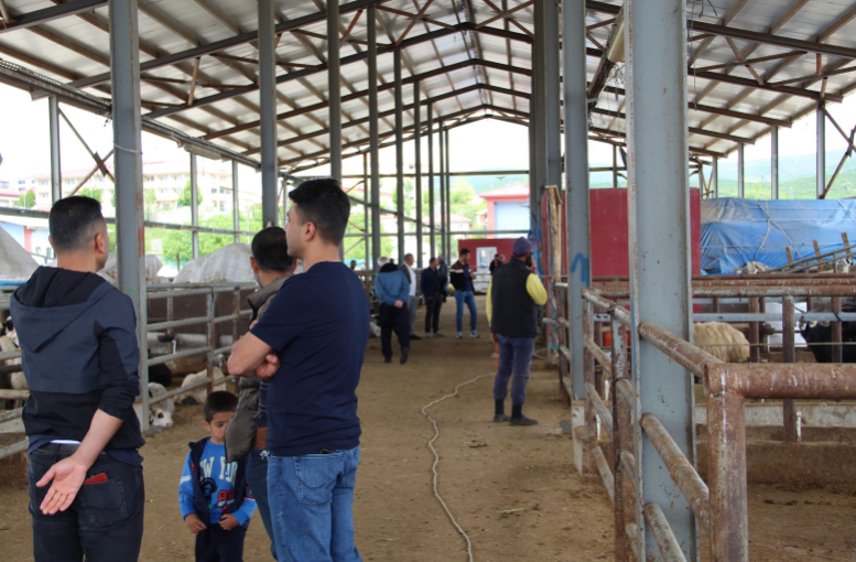 Canlı Hayvan Pazarında Bayram Hareketliliği Arttı (1)