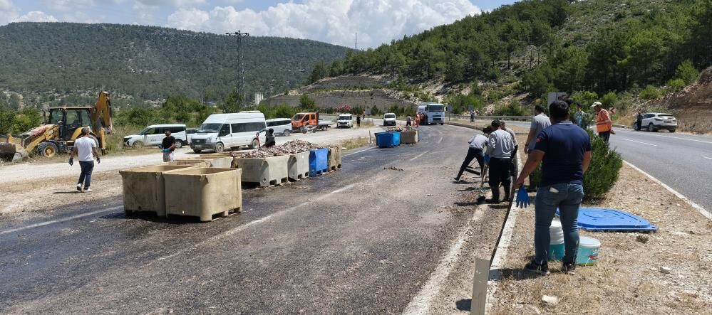 Balıklar