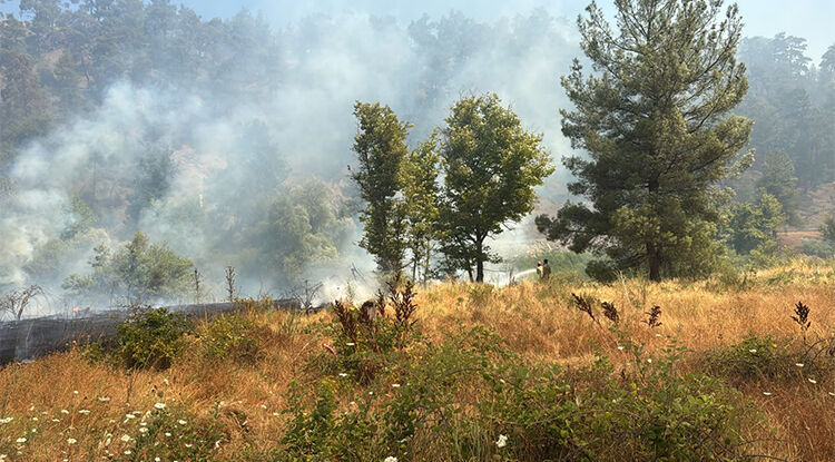 Bursa'daki Orman Yangını Kontrol Altına Alındı 1