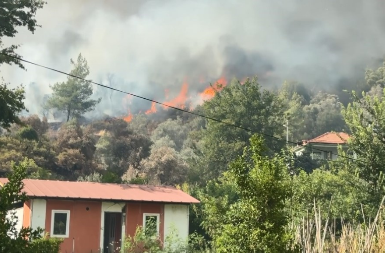 Fethiye'deki Orman Yangınında Alevler Evlere Sıçradı! Tahliyeler Başladı1