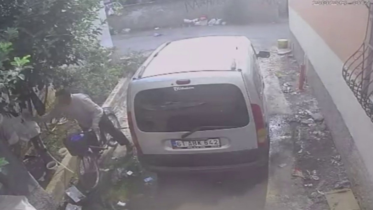 Kedi Mamasını Bile Çaldı! Güvenlik Kamerasına Yakalandı
