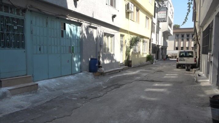 Bursa'da Hayvanlara Şiddet Iddiası Apartmandan Dehşet Çıktı, Mahalleyi Pireler Bastı (1)