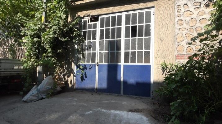 Bursa'da Hayvanlara Şiddet Iddiası Apartmandan Dehşet Çıktı, Mahalleyi Pireler Bastı (6)