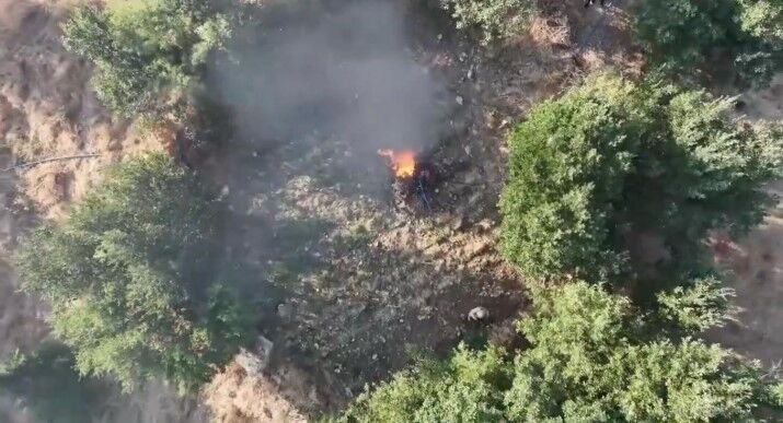 Diyarbakır'da 5,7 Ton Toz Esrar Elde Edilebilecek Kök Kenevir Ve Skunk Imha Edildi (2)