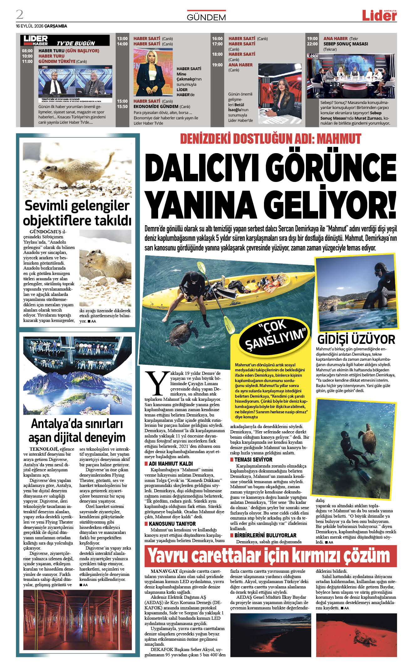 16 Eylül 2026 02