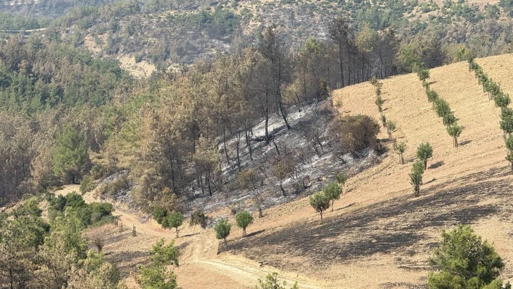 Adana Orman Yangını1