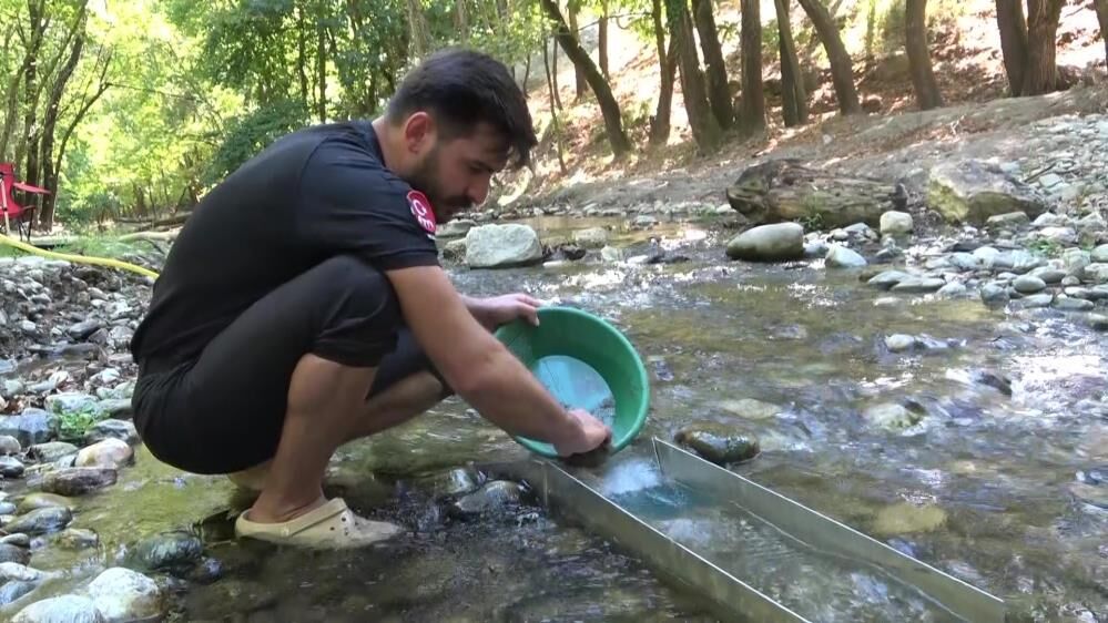 Altın Arama 2