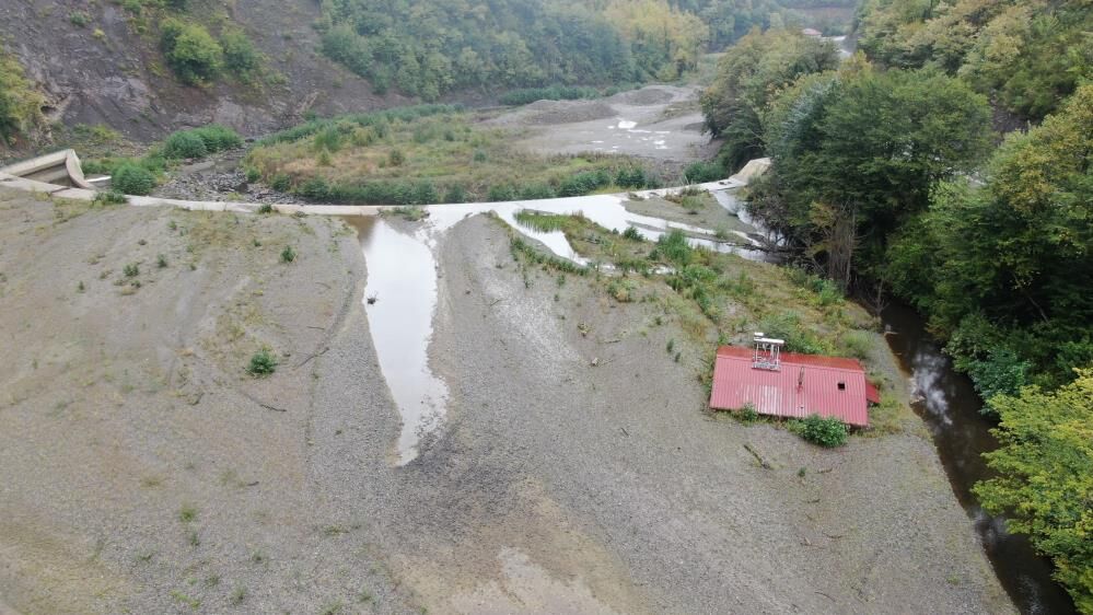 Bozkurt3