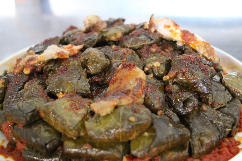 Dolma