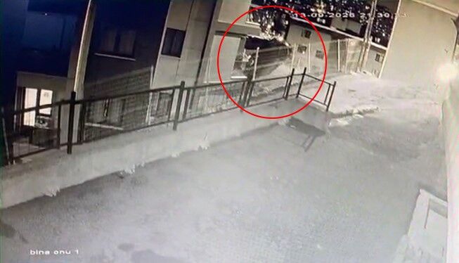 Akılalmaz kaza! Binanın üçüncü katına çarpıp bahçeye düştü