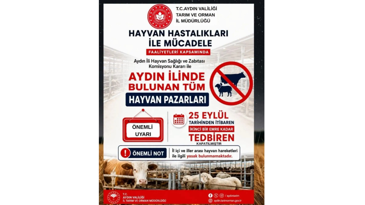 Hayvan Pazarı
