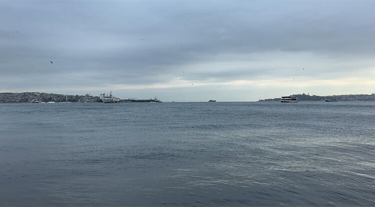 İstanbul’u Sağanak Vurdu! Megakentte Ağaçlar Devrildi, Rögarlar Taştı 2