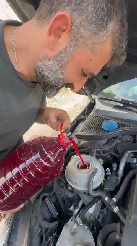 Şalgam2