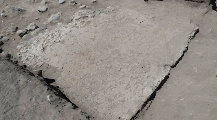 2 Bin Yılı Aşkın Geçmişe Sahip Mozaik Döşemeli Yapı Gün Yüzüne Çıkarıldı 4