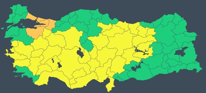 Sarı-8