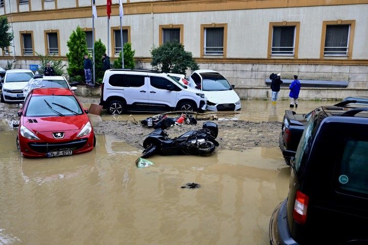 Sarıyer Yağmur (2)